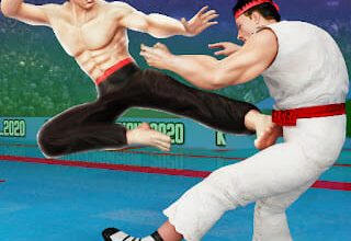 Karate Fighter 2023 مهكرة